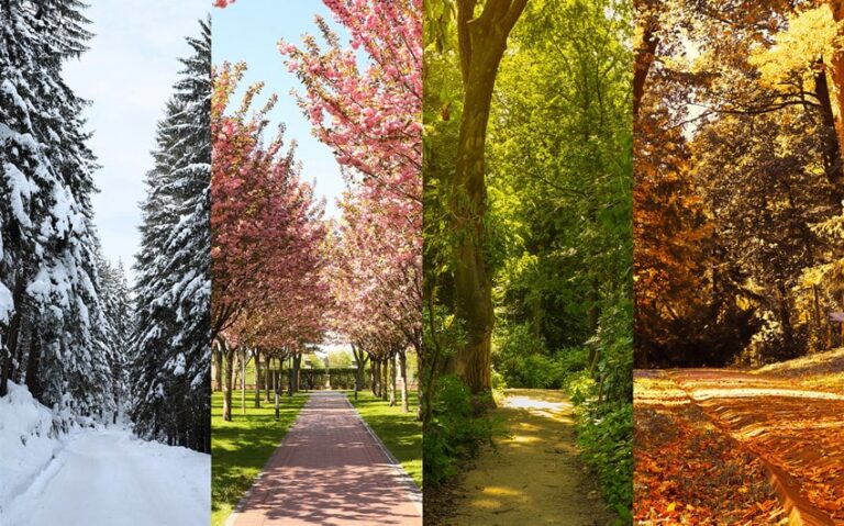 Becoming Comfortable with Change: What Seasons Teach Us About Letting Go