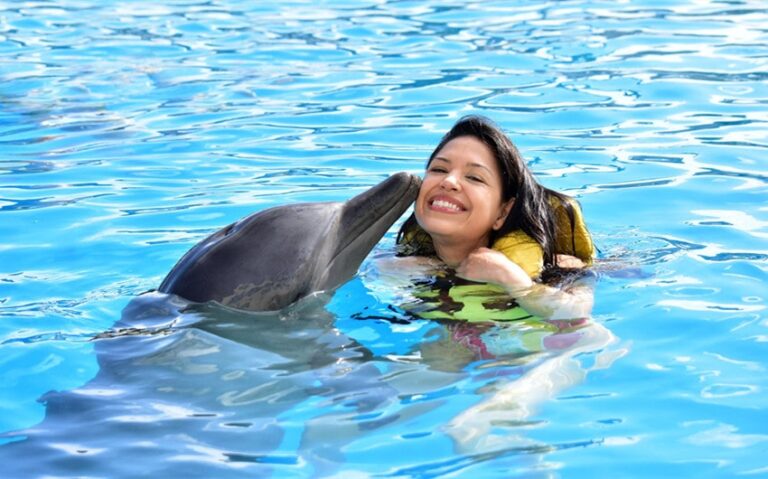 why are dolphins so friendly
